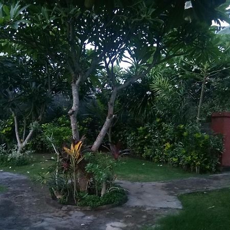 Molleh Guest House Pemuteran  Exterior photo